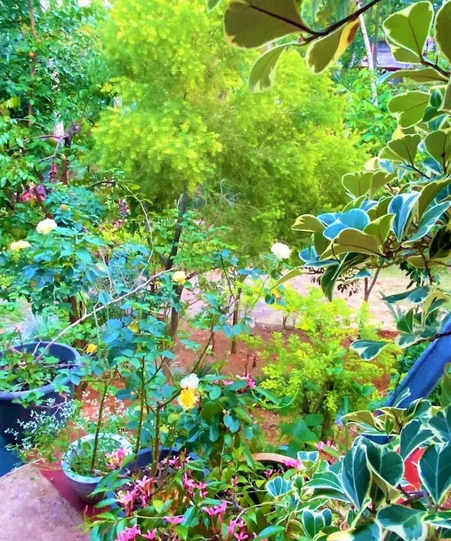 Green Heaven Ampitiya