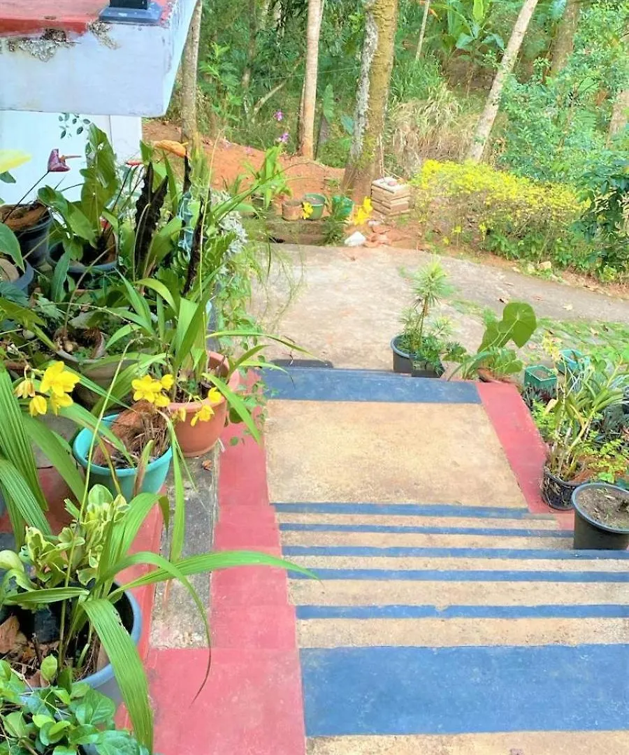 Homestay Green Heaven Ampitiya